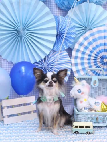 20231129ひめちゃん